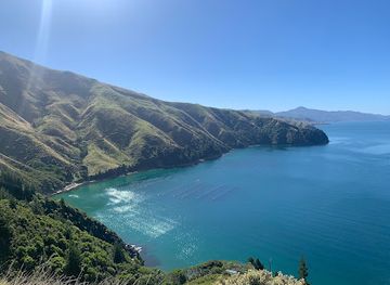 new-zealand/marlborough/attraction/saddle-hill