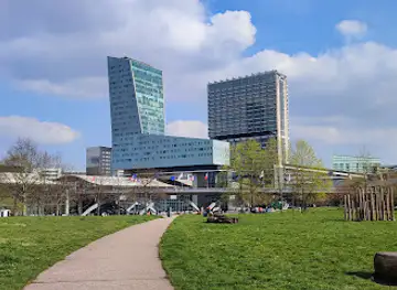 Henri Matisse Park