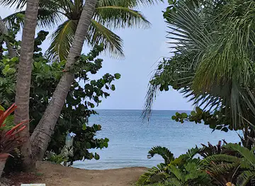 Sea Colony Beach