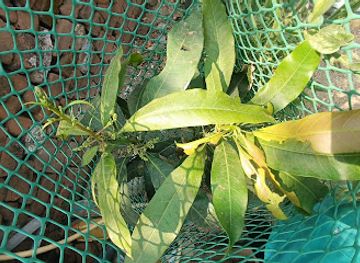 india/amritsar/attraction/amritsar-tourism