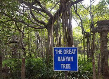india/chennai/attraction/adyar-banyan-tree