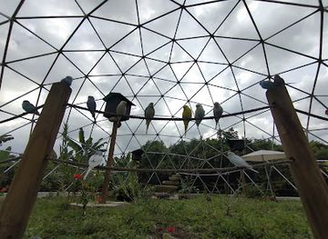 colombia/quindio-department/attraction/el-domo-aves-y-cafe
