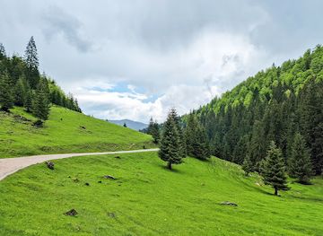 romania/bihor/attraction/depresiunea-balileasa