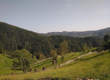 romania/bihor-mountains/attraction/zgurasti-cave