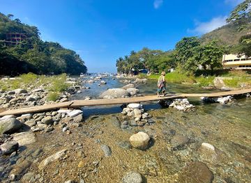 mexico/puerto-vallarta/zona-romantica/attraction/marina-puerto-vallarta
