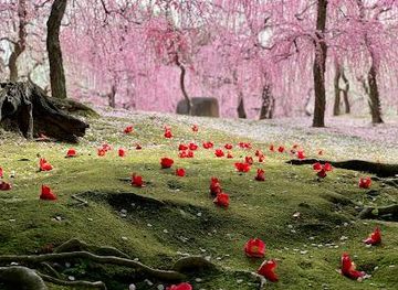 japan/nara-countryside/attraction/jonangu-shrine