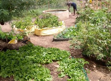 senegal/lompoul-desert/attraction/pencum-ndox