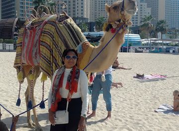 united-arab-emirates/dubai-marina/attraction/city-sightseeing-jbr4