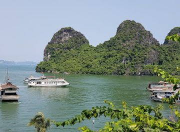 vietnam/ha-long/tuan-chau-island/attraction/tuan-chau-harbor-tuan-chau-port