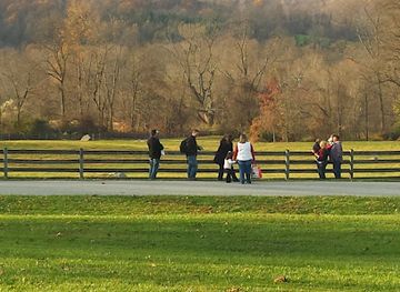 pennsylvania/delaware-valley/attraction/springton-manor-farm