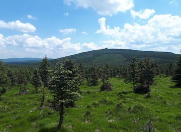 czechia/jizera-mountains/attraction/dwarf-pine-meadows