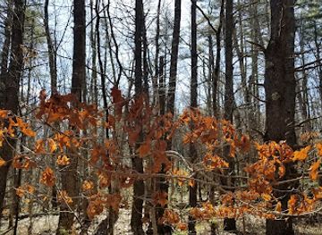 maine/old-orchard-beach/attraction/milliken-mills-trails-park