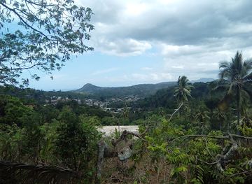 mayotte/sada/attraction/aromaore