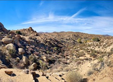california/joshua-tree/attraction/cottonwood-spring