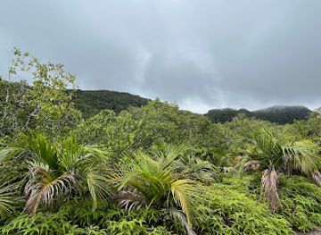 seychelles/port-glaud/attraction/mare-aux-cochons-trail-dan-bernard-junction