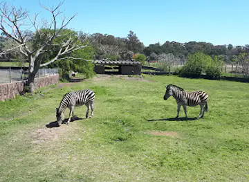Francisco Lecocq Zoological