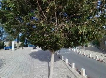 israel/raanana/attraction/tayelet-mifraz-shlomo-st-2