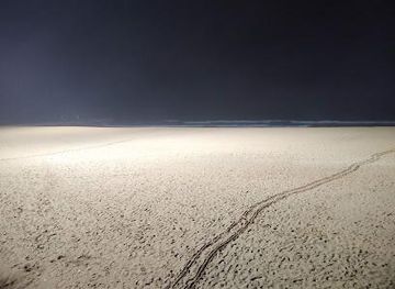 portugal/faro/attraction/largo-eng-duarte-pacheco