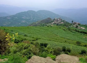 yemen/ibb/attraction/mntzh-snan-abw-lhwm-fy-wrf