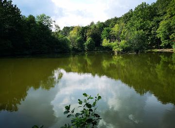 hungary/borzsony-mountains/attraction/lynx-house-and-visitor-center