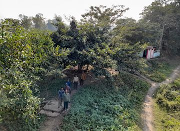 bangladesh/lawachara-national-park/attraction/baikka-beel-watch-tower