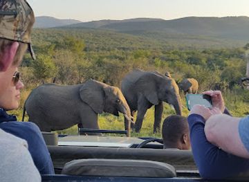 south-africa/zululand/attraction/zeekoepan-private-game-reserve
