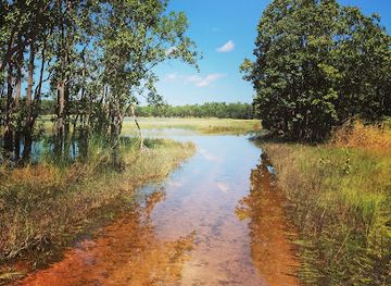 australia/litchfield-national-park/attraction/leaning-tree-lagoon-nature-park