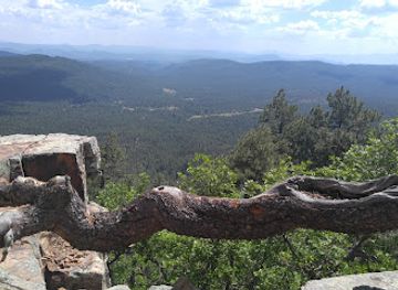 arizona/tonto-national-forest/attraction/mogollon-rim-visitor-center