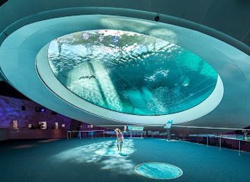 florida/miami/attraction/phillip-patricia-frost-museum-of-science