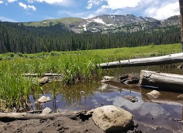 colorado/tenmile-range/attraction/spruce-creek-trail-dillon-ranger-district