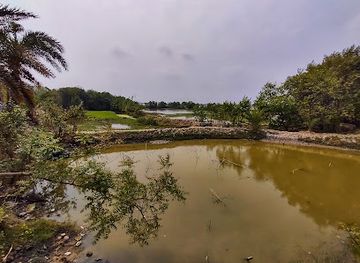 india/sundarbans/attraction/taki-golpata-forest