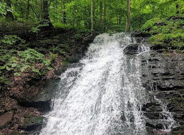 new-jersey/delaware-water-gap-national-recreation-area/attraction/douglas-trail