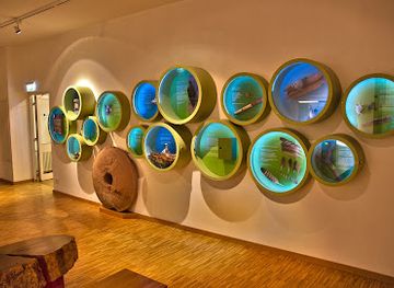 germany/palatinate/attraction/palatinate-museum-of-natural-history