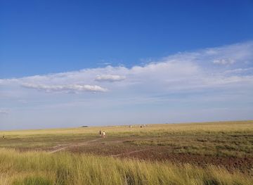 ukraine/pryazovia/attraction/azov-syvas-kyi-national-park