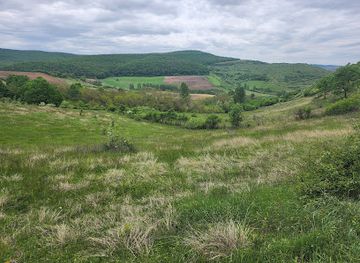 romania/alba/attraction/bagau-bottomless-lake