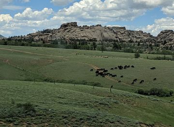 Medicine Bow-Routt National Forest