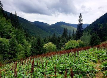 slovakia/banska-bystrica-region/attraction/vodopad-vo-vajskovskej-doline