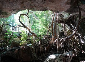 the-bahamas/lucaya/attraction/burial-mound-cave
