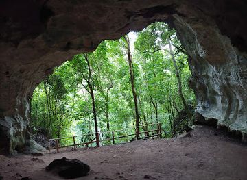 puerto-rico/camuy-river-cave-park/attraction/bosque-estatal-de-rio-abajo