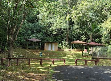 puerto-rico/camuy-river-cave-park/attraction/bosque-estatal-de-guajataca