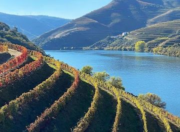 portugal/douro-valley/attraction/pinhao-douro-vinhateiro