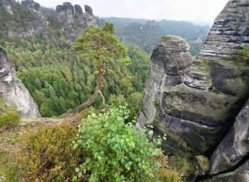 germany/saxon-switzerland-national-park/attraction/wehlsteinaussicht