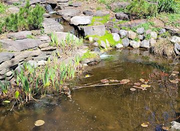 new-jersey/high-point-state-park/attraction/reeves-reed-arboretum