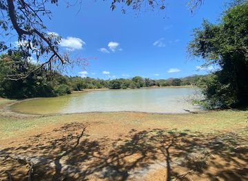 colombia/insular-region/attraction/laguna-big-pond