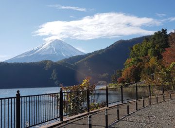 japan/mount-fuji/attraction/okukawaguchiko-sakuranosato-park