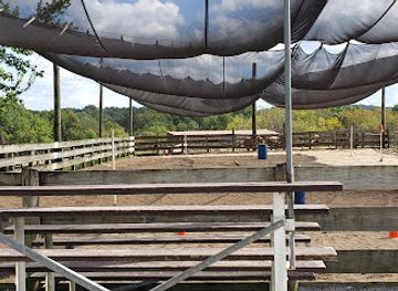 illinois/giant-city-state-park/attraction/giant-city-stables