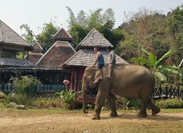 laos/luang-prabang/attraction/elephant-village-sanctuary-resort