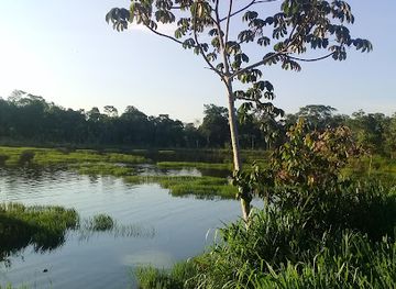 brazil/foz-do-iguacu/attraction/reserva-selva-iryapu