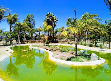 mexico/tierra-caliente/attraction/jersey-s-kid-s-zoo-park