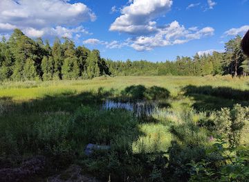 sweden/uppland/attraction/viltvattnet-i-vedyxaskogen